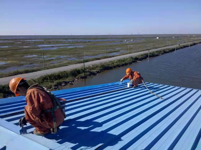 夏津彩钢瓦屋面防腐翻新